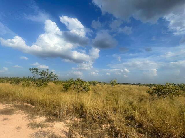 #194 - Chácara para Venda em Boa Vista - RR - 1